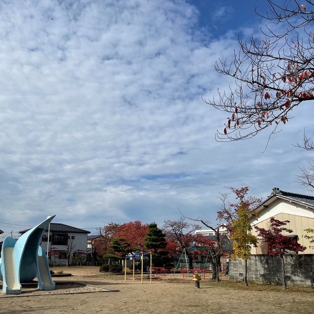 11月?薬草はらまき