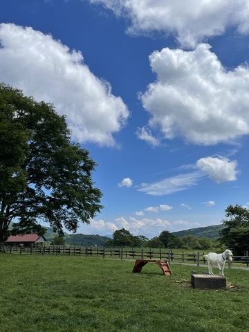 ご無沙汰してます🥹
